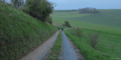 Notre Dame d'Aliermont (Chemin 1)