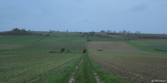 Notre Dame d'Aliermont (Chemin 2)