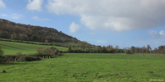 Damiere Saint Nicolas (Côte)