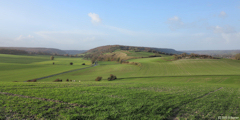 Saint Vaast d'Equiqueville (Vue)