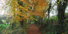 Offranville (Chemin)