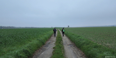 Rouxmesnil Bouteilles (Chemin)