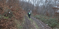 Bois de la Côte de Bondeville (Chemin)