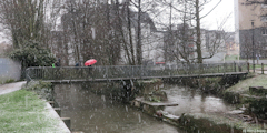 Maromme (Pont)
