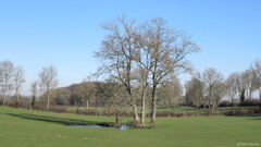 Gueutteville (Mare)