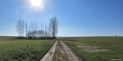 Ancretiéville Saint Victor (Chemin 2)