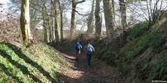 Emanville (Chemin 1)