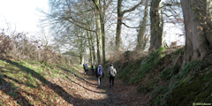 Emanville (Chemin 2)