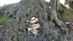 Emanville (Trou)