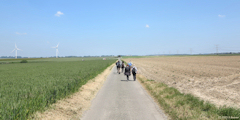 Criel sur Mer (Chemin 1)
