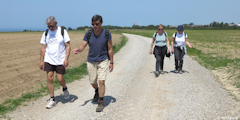 Ault (Chemin 1)