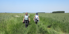 Ault (Chemin 2)