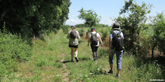 Pendé (Chemin 1)