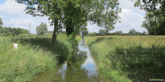 Cayeux sur Mer (Canal)