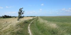 Baie de Somme (Digue 1)