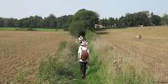 Varengeville sur Mer (Chemin 1)