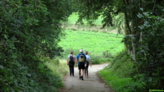 Bourg-Dun (Chemin 1)