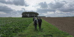 La Chapelle sur Dun (Chemin)