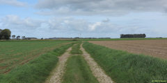 Angiens (Chemin)