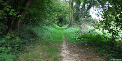 La Gaillarde (Chemin)
