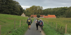 La Gaillarde (Cour le Comte 1)