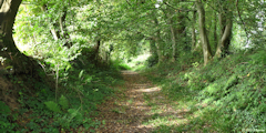 Anglesqueville la Bras Long (Chemin)