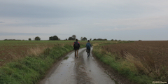 Hautot l'Auvray (Route 1)