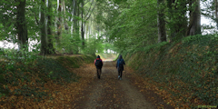 Drosay (Chemin)