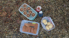 Anglesqueville la Bras Long (Goûter)