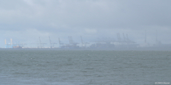 Le Havre (Terminal Conteneur 1)