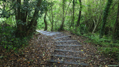 Auberville (Marches)