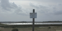 Mervillle-Franceville-Plage (Orne 1)