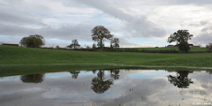 Quièvrecourt (Reflets)