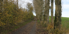 Bully (Chemin bitumé)