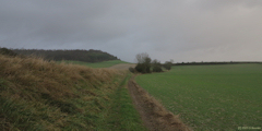 Nesle Hodeng (Chemin 1)