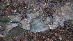 Mesnil Mauger (Eau de Ruissellement)