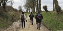 Guilmécourt (Chemin 1)