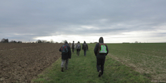 Gouchaupré (Chemin)