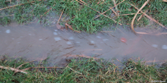 Doudeville (Eau)
