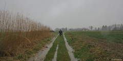 Doudeville (Chemin 1)