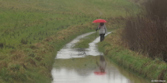 Doudeville (Chemin 3)