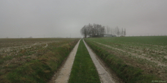 Hautot l'Auvray (Chemin)