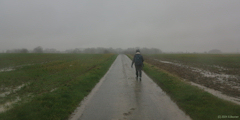 Hautot l'Auvray (Route)