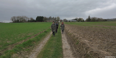 Routes (Chemin)