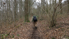 Doudeville (Chemin)