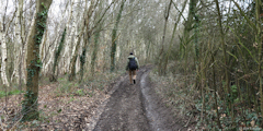 Saint Vaast Dieppedalle (Chemin 1)