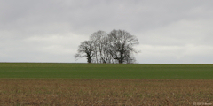 Oherville (Plaine)