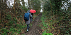 Saint Vaast Dieppedalle (Chemin)