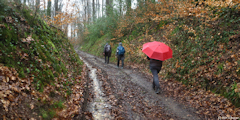 Grainville la Teinturière (Chemin 1)