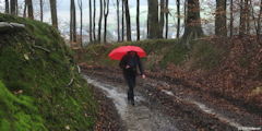 Grainville la Teinturière (Chemin 3)